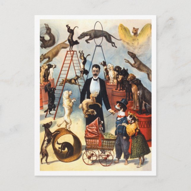 Carte Postale Vintage Circus Dog Trainer (Devant)