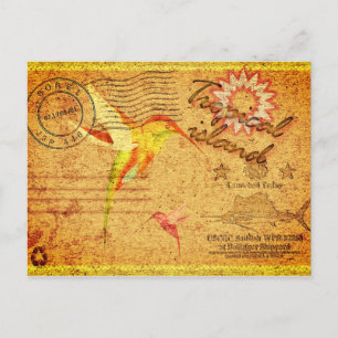 Carte postale vintage colibri de l'île tropicale