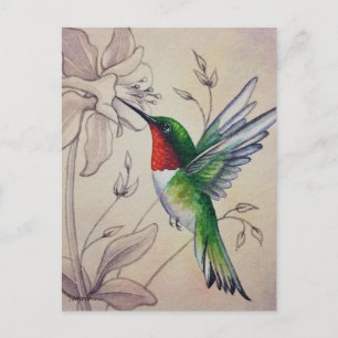 Carte Postale Vintage Colibri No 6 Aquarelle Art