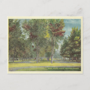 Carte Postale Vintage Colorado Springs
