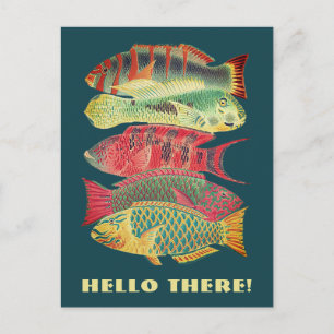 Carte Postale Vintage Colorful Barrique Reef Poisson Bonjour Là