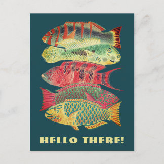 Carte Postale Vintage Colorful Barrique Reef Poisson Bonjour Là