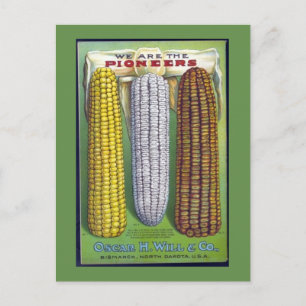 Carte Postale Vintage Corn Seed Packet Post Card