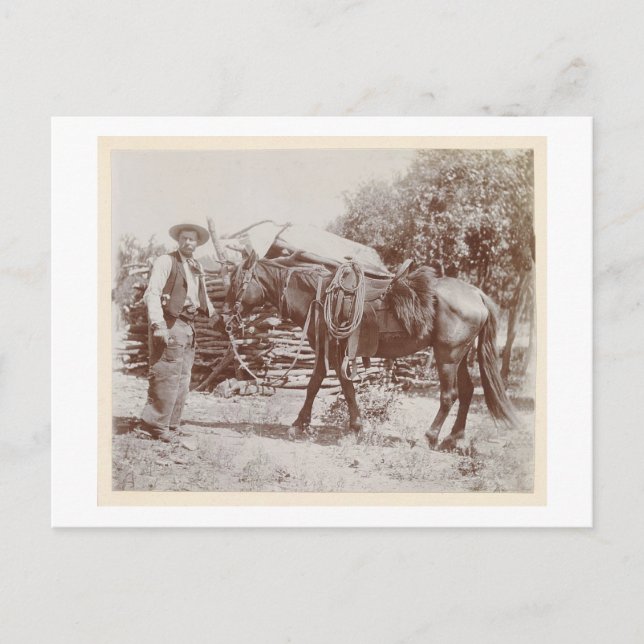 Carte Postale Vintage Cowboy 1900 (Devant)