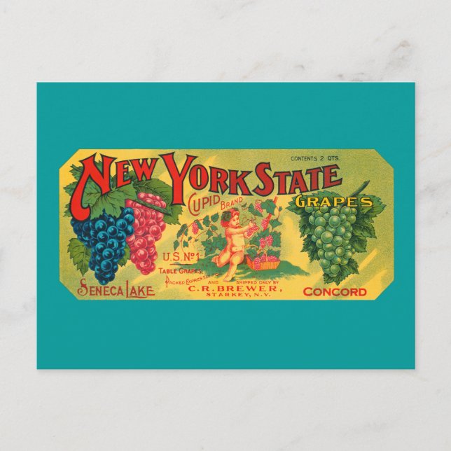 Carte postale vintage Crate Art Blank (Devant)