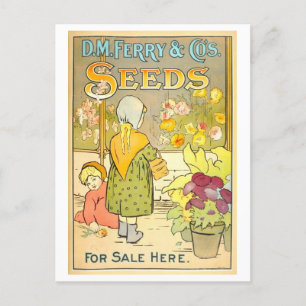Carte Postale Vintage D. M. Ferry & Co. Semences Annonce