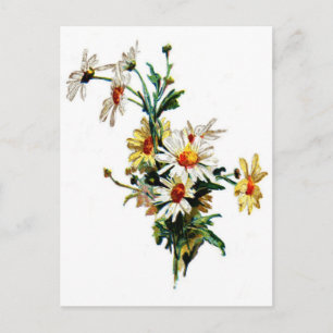Carte Postale *Vintage Daisy* Flower Art