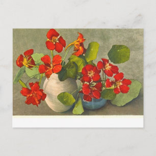 Carte postale vintage de bouquets de capucine.