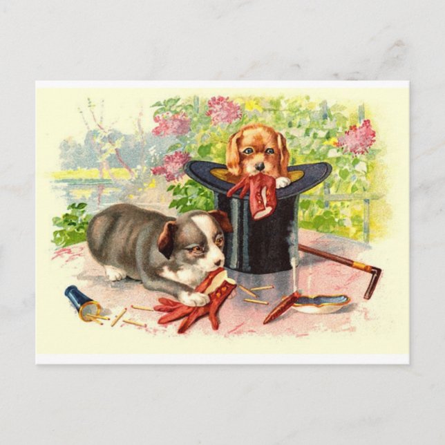 Carte postale Vintage de deux mignonnes chiots (Devant)