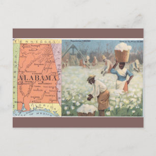 Carte postale vintage de la récolte de coton en Al