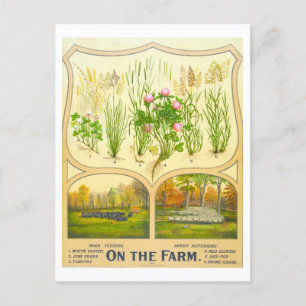 Carte postale Vintage de l'agriculture