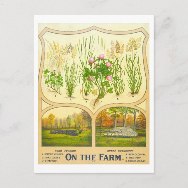 Carte postale Vintage de l'agriculture (Devant)
