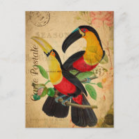 Vintage Deux Oiseaux Toucans colorés Floral França