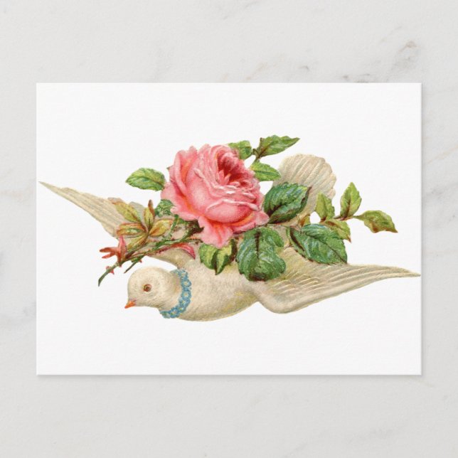 Carte Postale Vintage Dove et Rose (Devant)