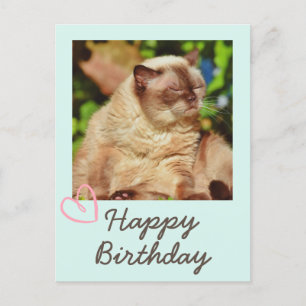 Carte postale vintage drôle de chat et joyeux anni