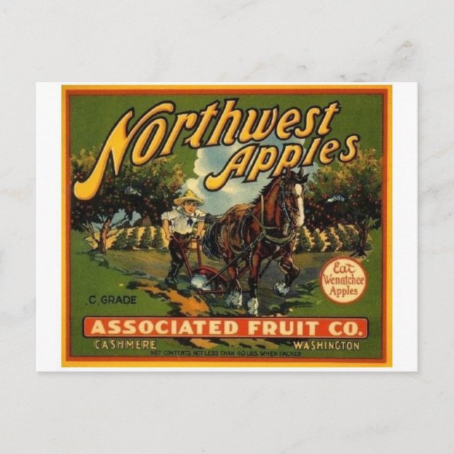 Carte postale vintage du Étiquette Crate (Devant)