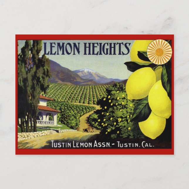 Carte postale vintage du Étiquette Crate (Devant)