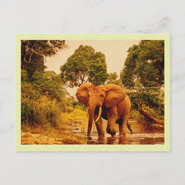 Carte postale vintage Eléphant africain (Devant)