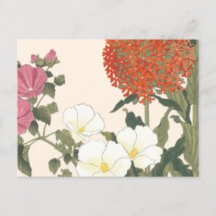 Carte Postale Vintage Floral Allium Flower