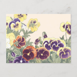 Carte Postale Vintage Floral Art Pansy Fleurs colorées