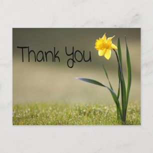 Carte Postale Vintage Floral Merci Jaune Daffodique Fleur
