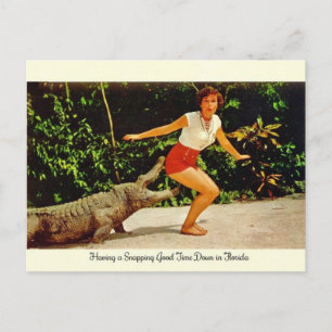 Carte postale vintage Florida Alligator