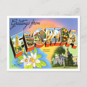 Carte postale Vintage Florida Big Letters