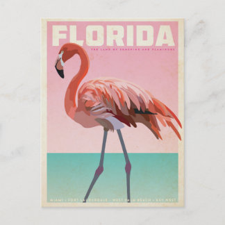 Carte Postale Vintage florida flamigo travel postcard