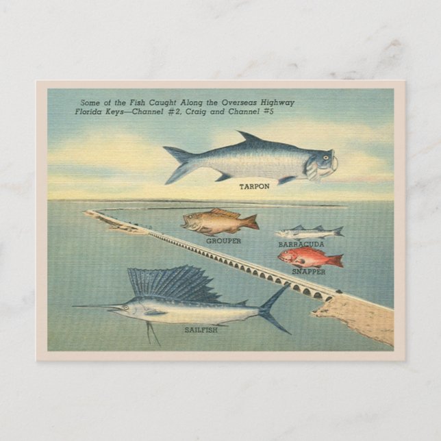 Carte Postale Vintage Florida Keys Fishing (Devant)