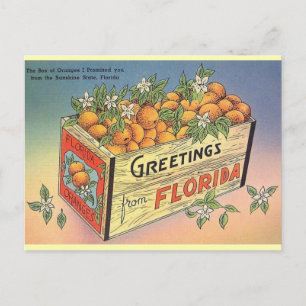 Carte postale vintage Florida Oranges