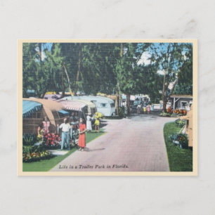 Carte Postale Vintage Florida Trailer Park