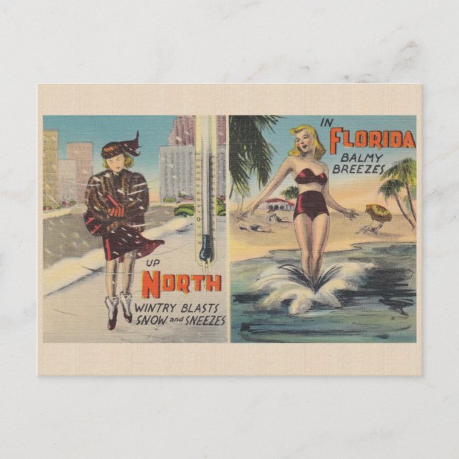 Carte postale vintage Florida Winter (Devant)