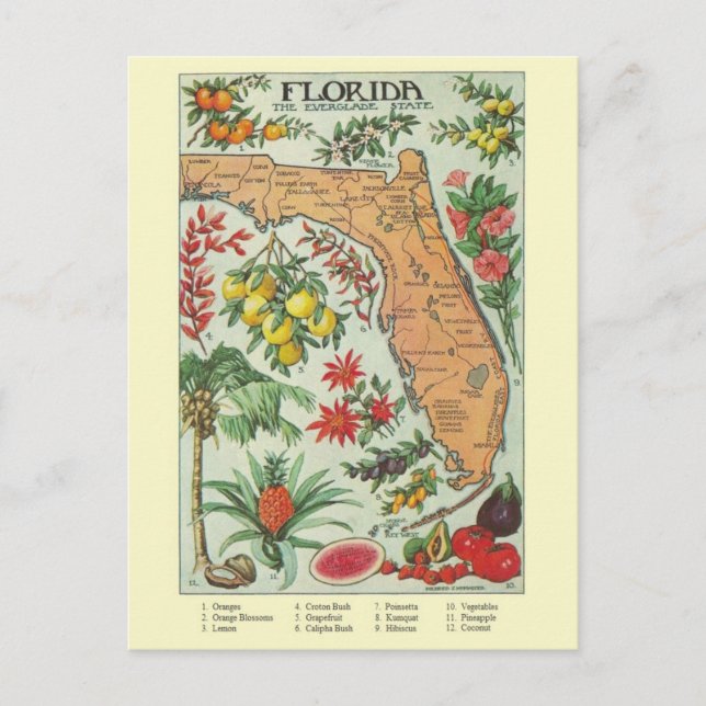 Carte postale vintage Floride (Devant)