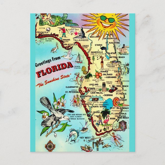 Carte postale Vintage Floride (Devant)