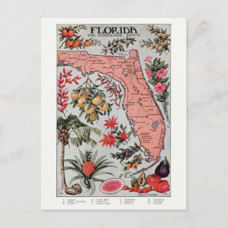 Carte postale vintage Floride