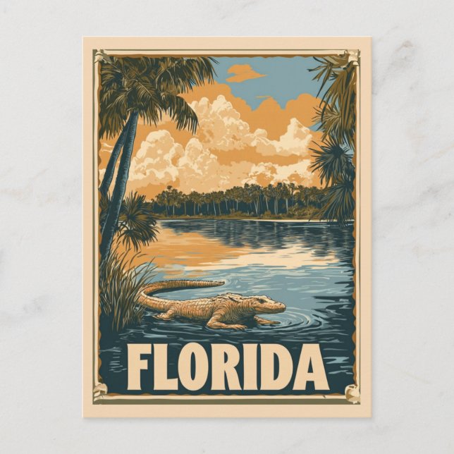 Carte Postale Vintage Floride Everglades Alligator Travel (Devant)