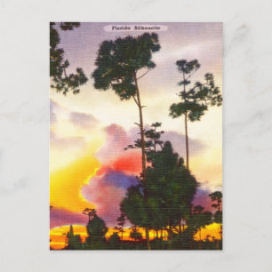 Carte Postale Vintage Floride Silhouette Sunrise Sunset Travel