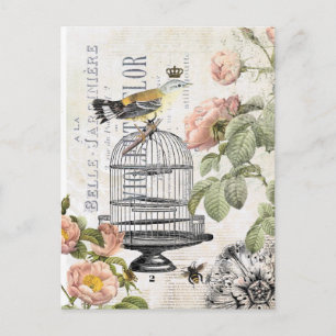 Carte Postale Vintage French bird postcard