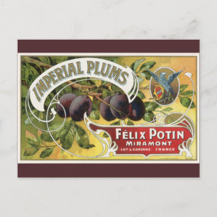 Carte Postale Vintage Fruit Crate Art Étiquette, Plums impériaux