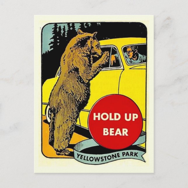 Carte Postale Vintage Fun Parc Yellowstone (Devant)