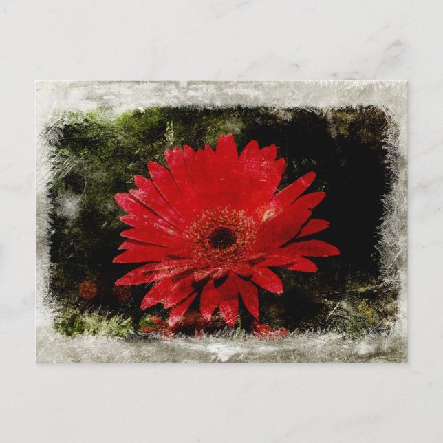 Carte Postale Vintage Gerber Daisy (Devant)