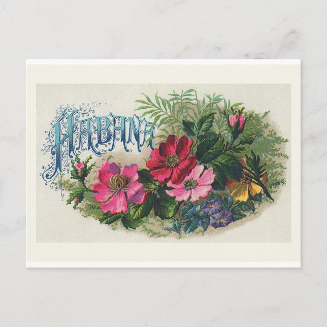 Carte postale Vintage "Habana Cigar Box Étiquette" (Devant)