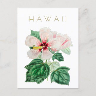 Carte Postale Vintage Hawaii État fleur Voyage du milieu du sièc