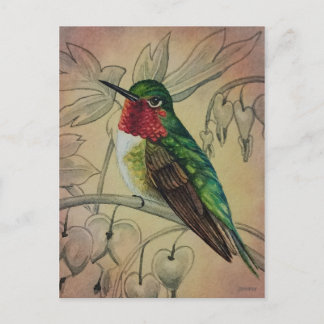 Carte Postale Vintage Hummingbird No 4 Aquarelle Art