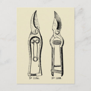 Carte Postale VINTAGE ILLUSTRATION Jardinage outil Pruners P