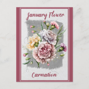 Carte Postale Vintage Janvier Fleur Carnation Florale
