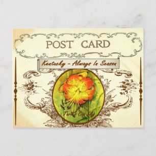 Carte postale vintage Kentucky State Flower