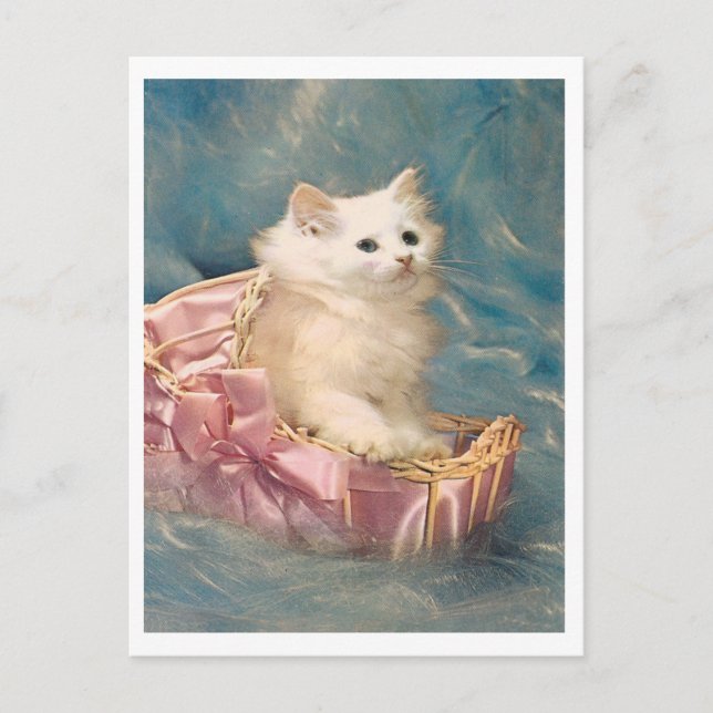 Carte Postale Vintage Kitty (Devant)