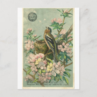 Carte postale vintage Lark Bird