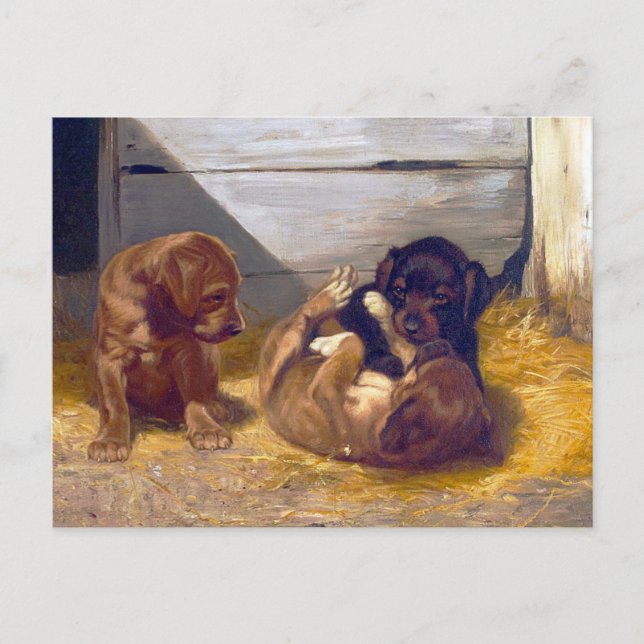 Carte Postale Vintage Lecture de Chippies (Devant)